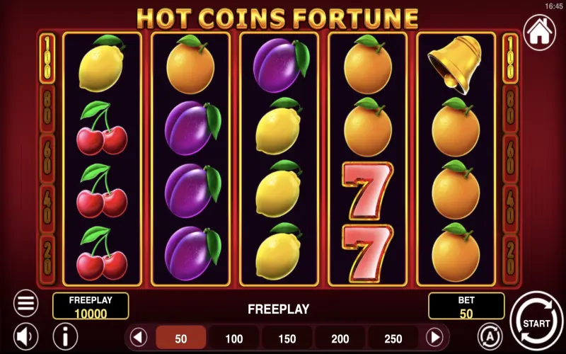 Hot Coins Fortune